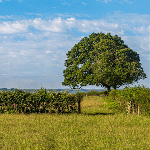 Explore the delightful Derbyshire countryside on foot or by bike