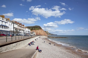 Folk Song image 6