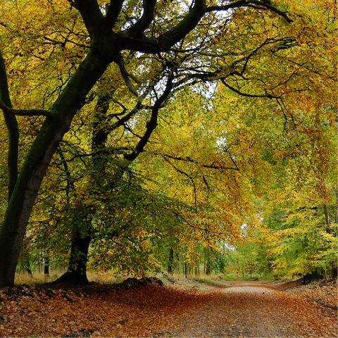 Step back into nature right from your doorstep