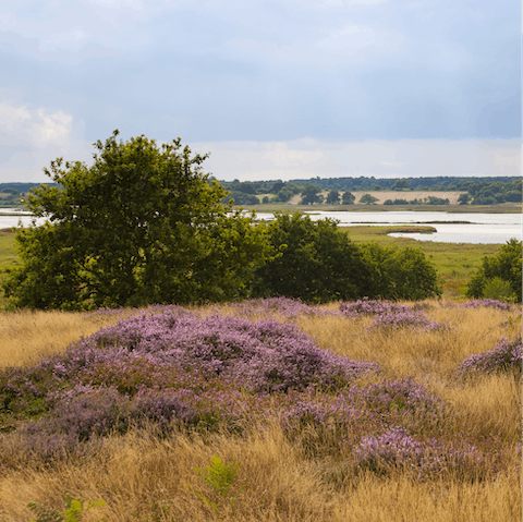 Walk just five minutes to Sutton Hoo or drive twenty minutes to the heart of the heaths