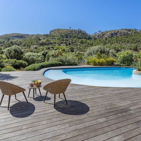 Enjoy relaxing days by the pool surrounded by olive trees and rolling hills