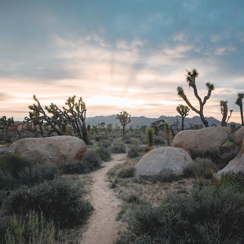 Hit the trails of the Johsua Tree National Park, a fifteen-minute drive away