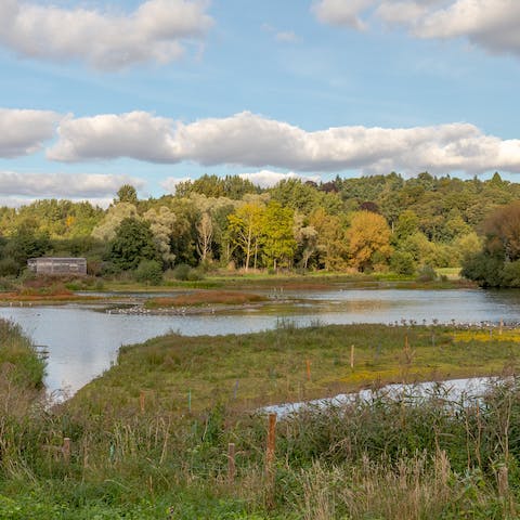 Head to Great Amell Nature Reserve, just ten minutes on foot