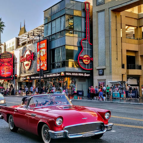 After a twenty-minute drive, you'll feel like a movie star once reaching Hollywood