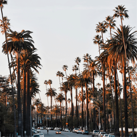 Beverly Hills, home to Hollywood stars is only a fifteen-minute drive away