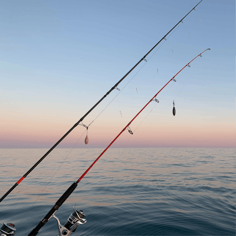 Spend the afternoon on a fishing trip