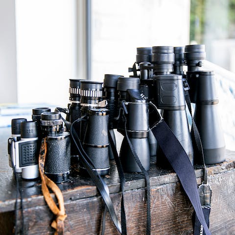 Borrow binoculars to spot bird life over the Severn Estuary