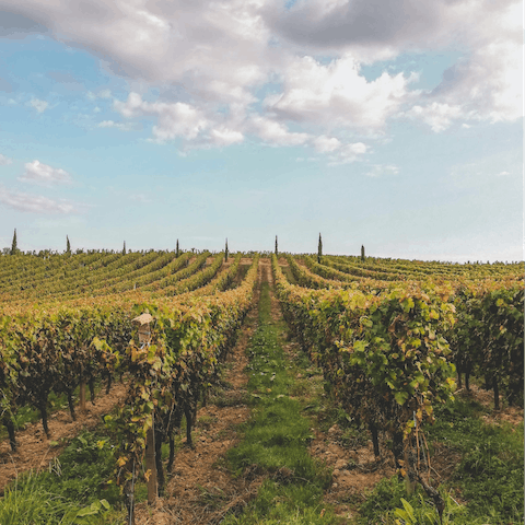 Stay perfectly sandwiched thirty minutes between Bordeaux and Saint-Èmilion in the heart of the wine region