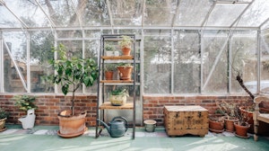 In The Potting Shed image 4