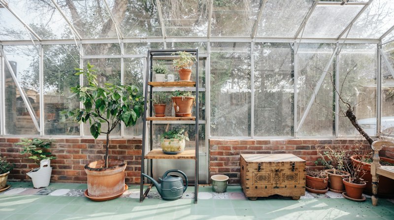 In The Potting Shed additional image