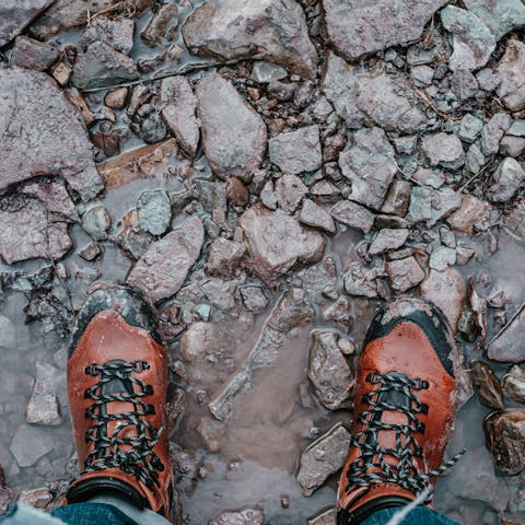 Put on your boots and explore the water lagoons, marshland, and woodlands of Benacre National Nature Reserve