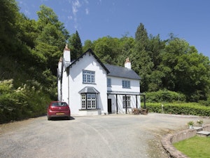 Exmoor Heather image 11