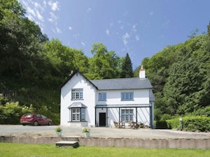 Exmoor Heather image 3