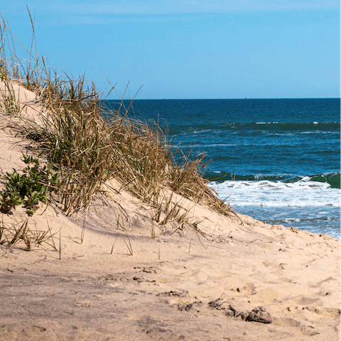 Admire the white sands, high dunes, and rolling waves of the Hamptons' beaches