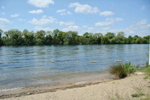 Lake Mirrors image 12