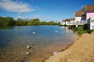 Lake Mirrors image 3