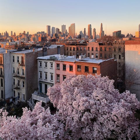 Explore the best of the Big Apple from your base in Greenpoint