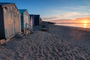 The Seashell Harvester image 14