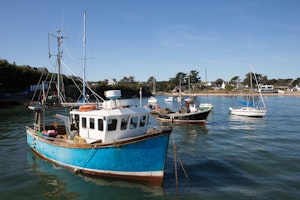 The Seashell Harvester image 13