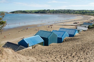 The Seashell Harvester image 8