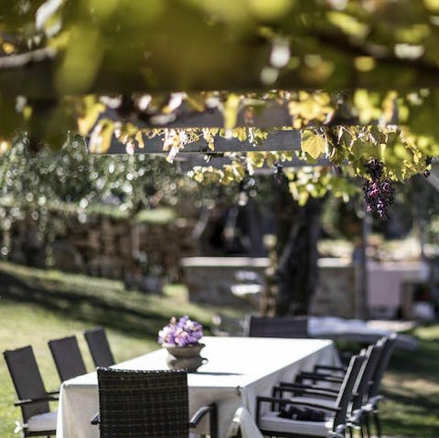 Dine outside amid grape vines and olive trees