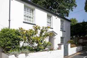 The Poplar image 1
