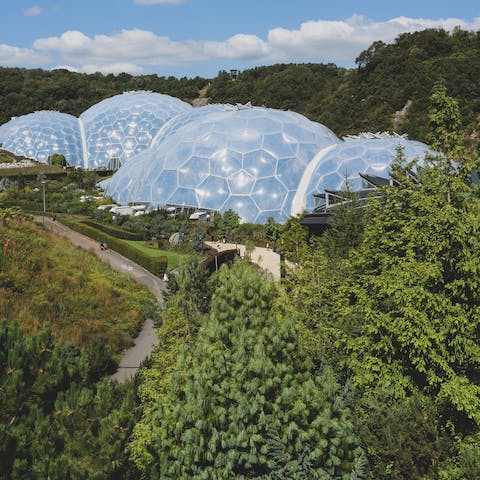 Discover the tropical biomes of the Eden Project, a ten-minute drive away