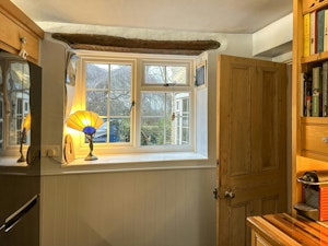 The Apple Tree image 12