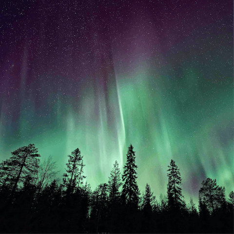 Hunt to see the Northern Lights in the area