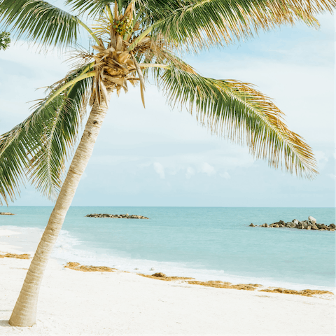 Head to the beautiful Key West beach