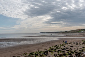 Ivy & Sea Grass image 10