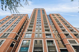 Paddington Luxe image 12