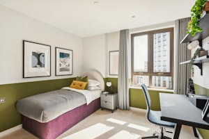 Paddington Luxe image 2