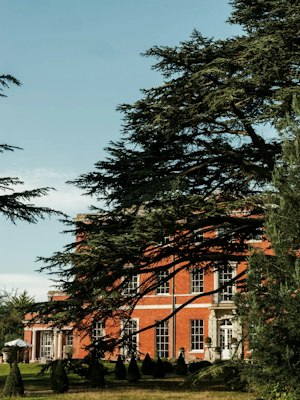 Cedar Manor image 12