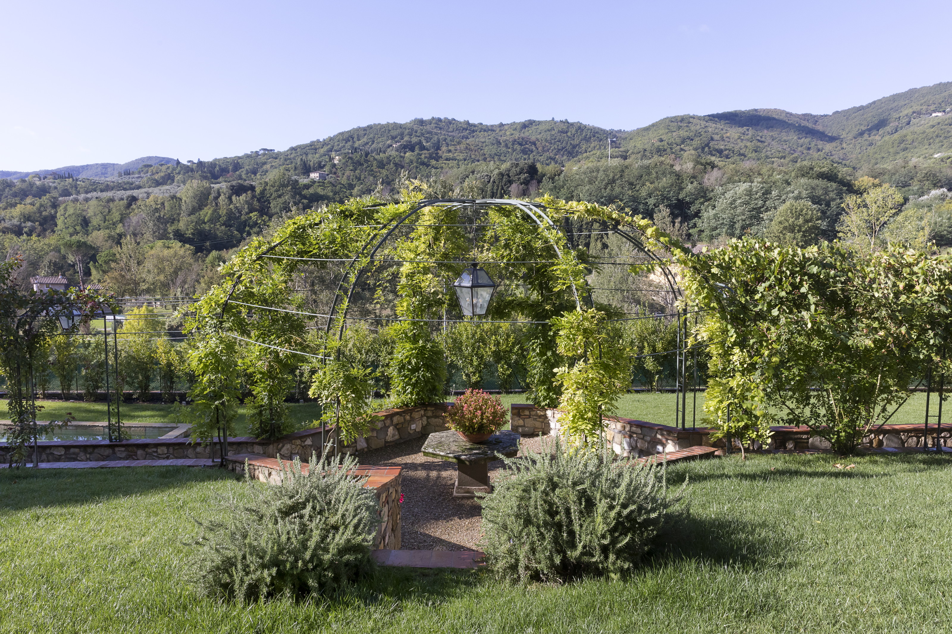 The Legendary Giulia