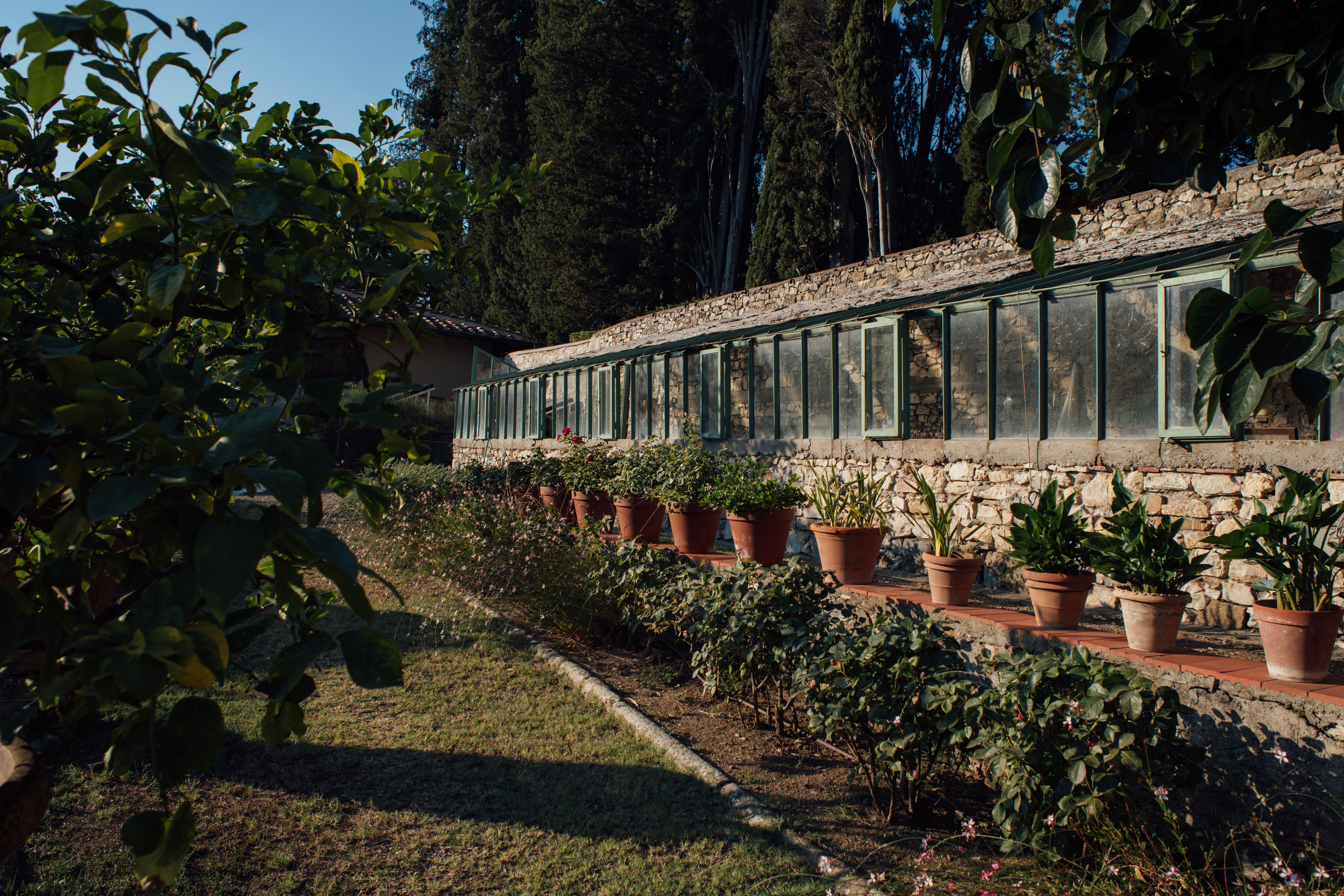 The Legendary Giulia