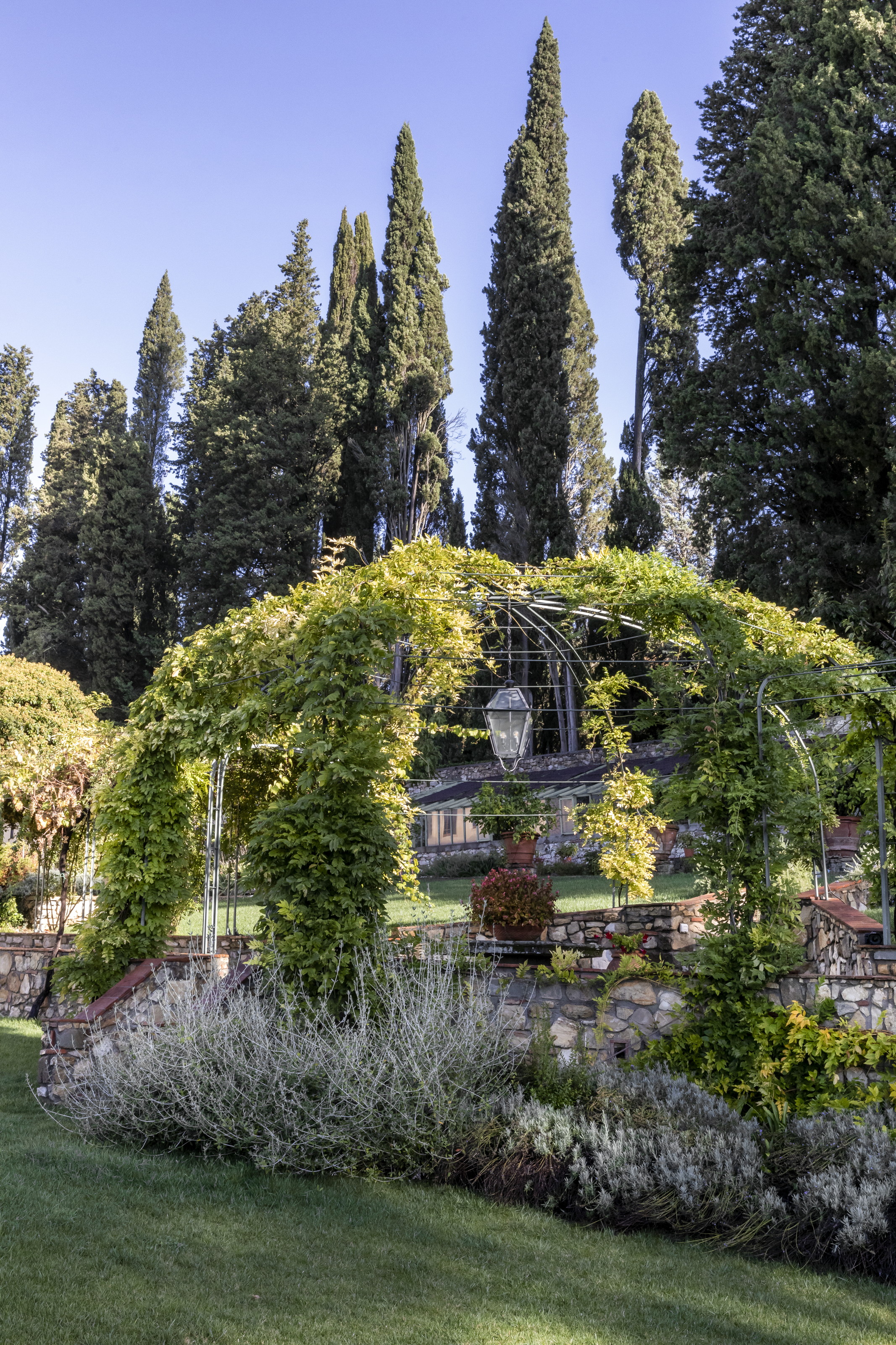 The Legendary Giulia