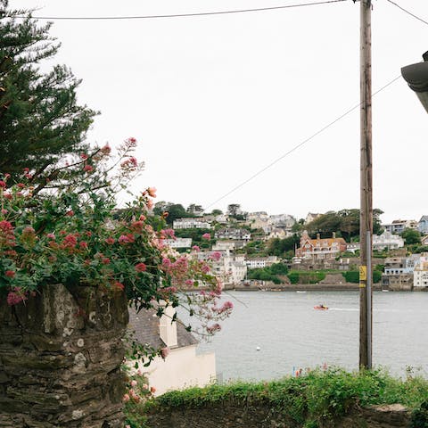 Walk down into Salcombe for tea and a browse around the shops