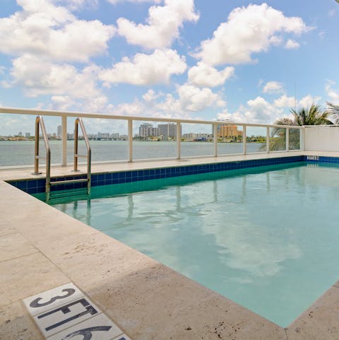 Go for a dip in the rooftop pool