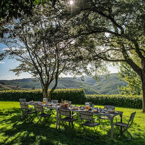 Have lunch in the garden