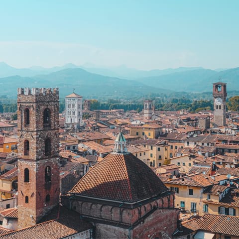 Drive thirty minutes to Lucca and roam along the Renaissance walls
