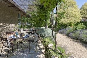 Sunny in Provence image 14