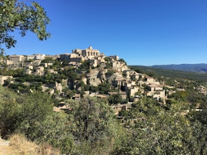 Sunny in Provence image 11