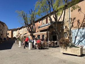 Sunny in Provence image 6