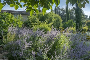 Sunny in Provence image 3