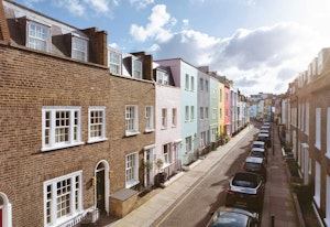 Colour of Joy image 14