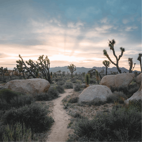 Explore the wild and psychedelic landscape of Joshua Tree National Park,  just a twenty-five minute drive away