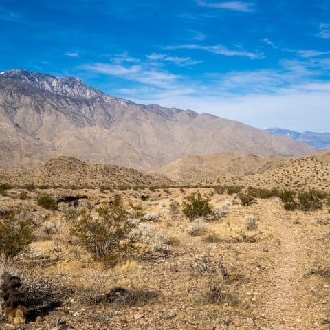 Spend an afternoon hiking Indian Canyons (a thirteen-minute drive to the trail entrance)