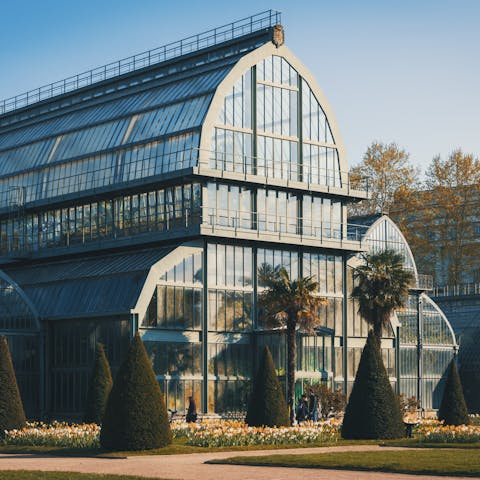 Spend a relaxing afternoon at the Lyon Botanical Garden