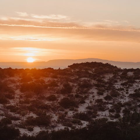 Enjoy walking or cycling to Comporta's beautiful beaches